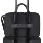 Business 7 Negro Business 7 Negro